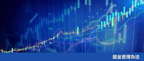 上海黃浦區政府投資基金管理辦法發布 賦能區域經濟高質量發展的新引擎